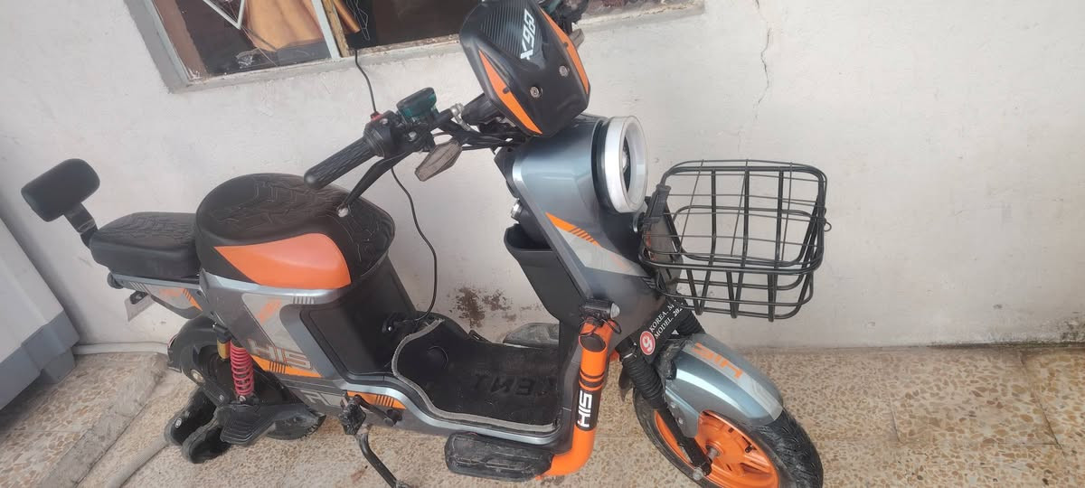 مطور شحن للبيع مكاني الموصل


**إذا كنت صاحب هذا الإعلان وتريد حذفه لأي سبب، رجاءا أرسل رسالة إلى الدعم الفني**