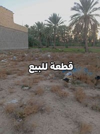 الموظفين الزراعي • ١٠٢م • وجه٦×١٧م