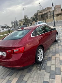 ماليبو • ٢٠٢٥ • مرقّم البصرة
