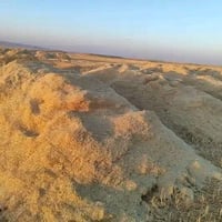 تبن • عربانة • لفحيمي