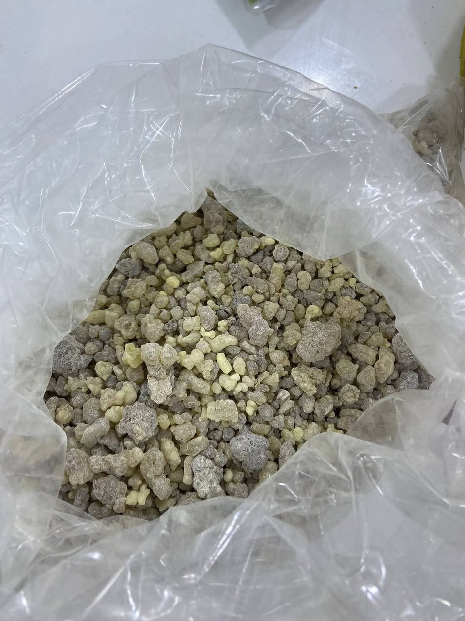 أعشاب علي كمون 
قرب مجمع عقيل 
يوجد توصيل


**إذا كنت صاحب هذا الإعلان وتريد حذفه لأي سبب، رجاءا أرسل رسالة إلى الدعم الفني**