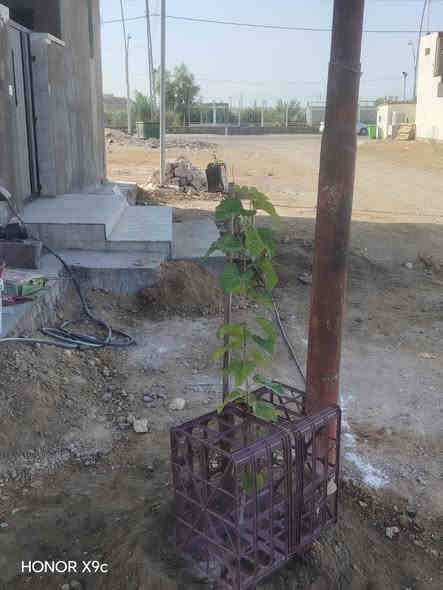 موجود بیت رکن, مقابل مجمع حکومي وليس اهالي, الزهور . يصلح شركه او معهد أو روضه... الخ، قریب على الحولي وهیت لاند.

البيت يتكون من: 

 ٤  غرف نوم, صاله عدد2, استقبال عدد ٢ 

صحیات عدد ٤, مطبخ عدد ٢،

بناء حديث

نظام دكتات مبرده

، تاسيس سبالت وتاسيس غاز

، تاسيس كاميرات تاسيس خط طاقه شمسيه وتاسيس انترنت

ساحة سیارات.. 

واجهه ركن 25 متر

الاستفسار: 

***********
