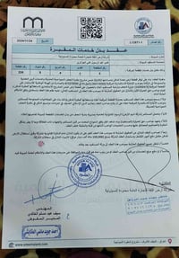 مقبرة • المقبرة النموذجيه • قطعة ٢٠٦