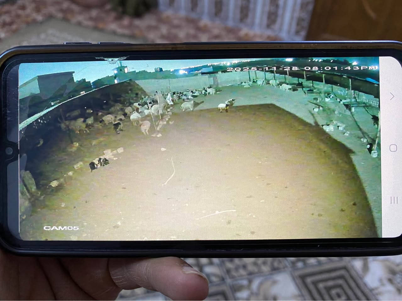 🤖الذكاء الاصطناعي احتل كلشي بالعالم حته كامرات المراقبه صارت ذكيه تاخذ صور للبشر والسيارات وتكنك عالراوتر بدون واير وتبحثلك عالاشخاص التريدهم بالصور  
كامرات واضحه تطلعلك رقم السياره بارخص سعر تشوفه بحياتك 
كامرات واسعه بزاويه ٩٠ درجه (٢.٨)متخلي اي شي الا و تشوفه 
فلاش اصفر دافي حته تسوي الليل نهار 
والمايك شلون الهوا يطخ باذنك هيج تسمع الصوت 
بعد شنو اكثر من هيج تقنيات ودلال واكككثر موجود يمنه 
📌عين الصقر لكامرات المراقبه والداشكام📌
📍كركوك سايدين كوباني قرب جامع حمد المفرجي 
*********** 📞
ومتوفر واتساب ✉️✉️
والقانون ينصف اصحاب الدليل كركوك, العراق
