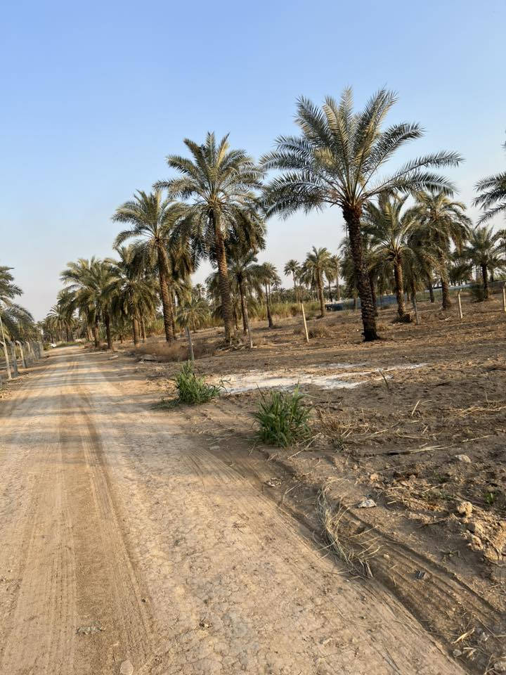 السلام عليكم
للبيع دونم طابو ملك صرف واجهة الأرض 23متر جميع الخدمات متوفرة يصلح لانشاء مزرعه الموقع بغداد المدائن شارع سيد علي ***********
