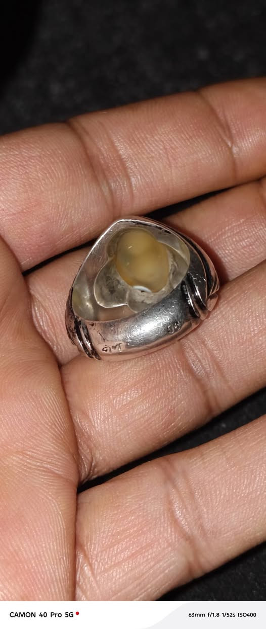 سليماني سعر ١٥٠ مع توصيل صياغه حامد ثقيله سعر قفل 🔒🔒🔒🔒🔒🔒🔒


**إذا كنت صاحب هذا الإعلان وتريد حذفه لأي سبب، رجاءا أرسل رسالة إلى الدعم الفني**