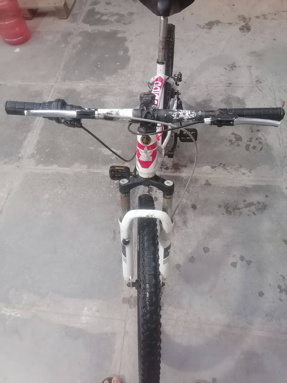 سلام عليكم باسكل جبلي حجم ٢٦ للبيع السعر ١٠٠ وبي مجال او امراوس اب باسكل بناتي العنوان الحسينيه راشديه شارع القاضي للاستفسار المراسلة على الخاص او المراسلة على رقم ***********
