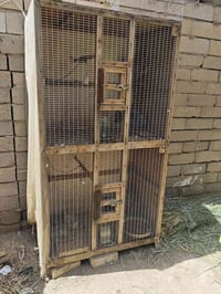 قفاص ٢ • خانتين • البصره