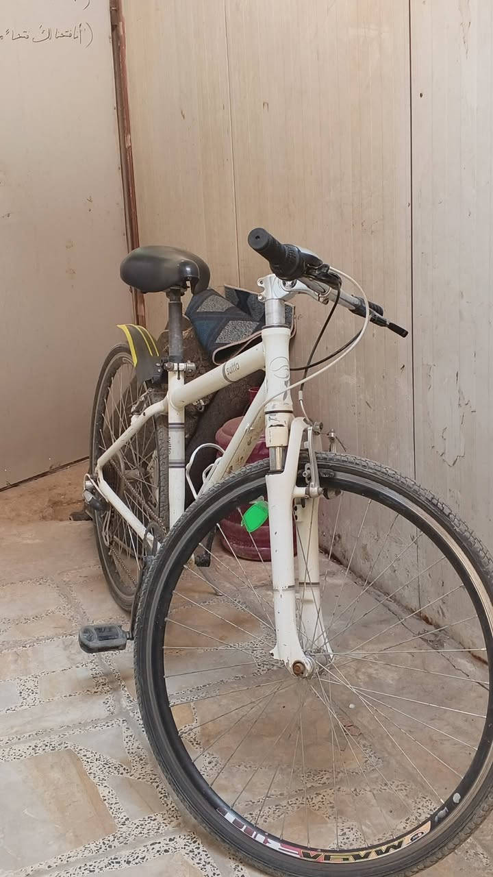 السلام عليكم c700 للبيع اي نقص ما بي كير 6نمر كشن طبي البايسكل خفيف بل سياقه بريك امامي تخفيف وقوي وابد لا تخاف ما يگلبك احجيلك عن تجربه و البريك الخلفي يحتاج نتات للمخدات فقط بس كله جاهز وكامل سعر 75 وبي مجال انشاء الله رقمي واتساب ***********
