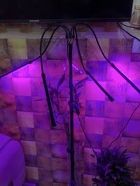 اضاءة نباتات للبيت • مستلزمات نباتات