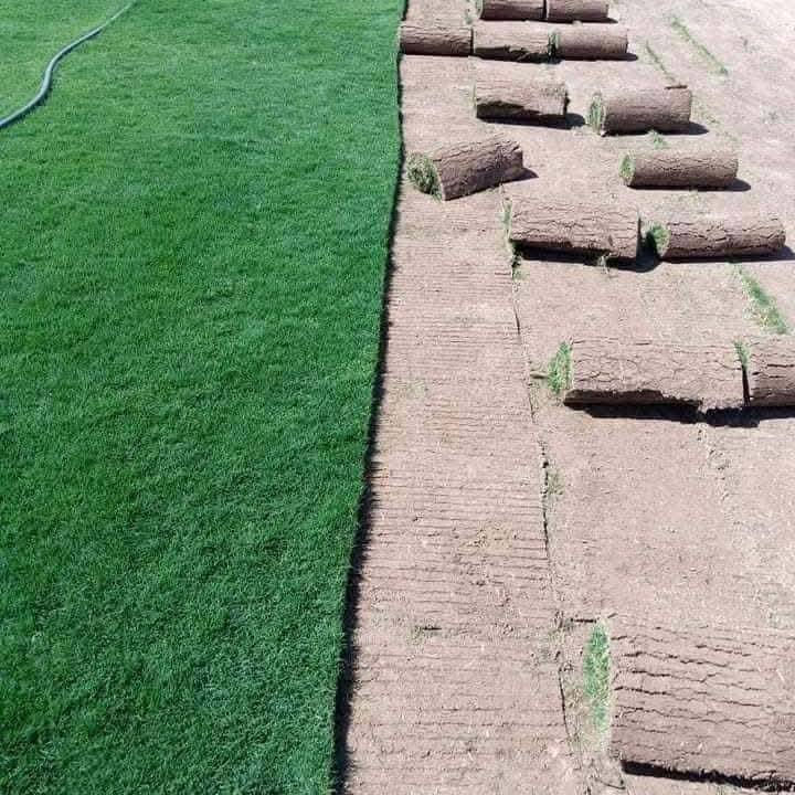 من رخصة الادمن المحترم 
ثيل بأنواعه كافه واصل بالفين 
***********
***********
