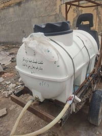 تانكي • سيسكو • أصلي