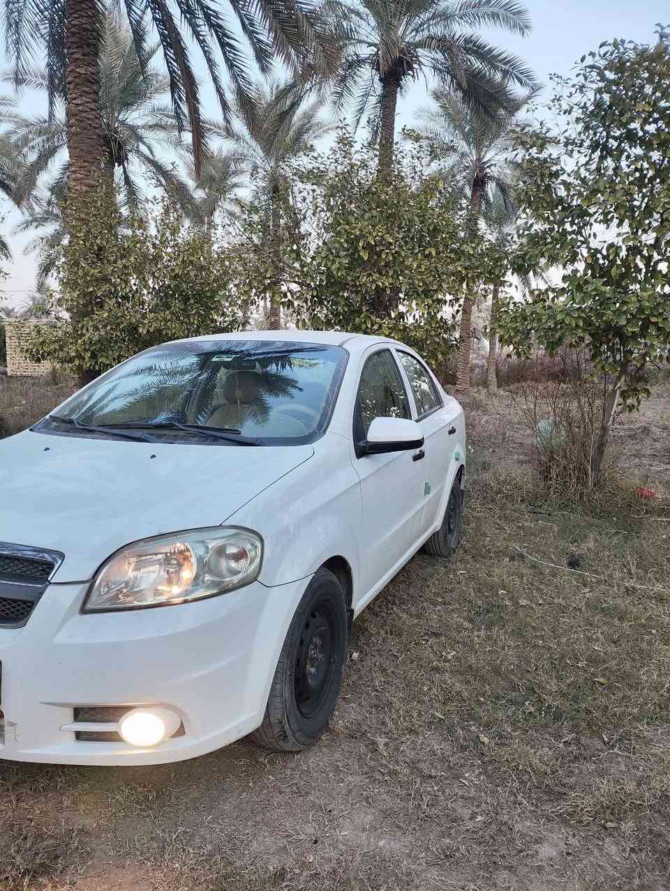 افيو موديل 2011 الشركه العامه للسيارات رقم شمالي سليمانيه الجديد رقم وسنويه وهزه جددلل30 هزته تنفذ بشهر ل6.2026 سياره مكفوله خاليه من الصبغ والتبديل حتى دعاميات بلادي ماشيه 158جاهزه من كلشي مكاني بابل الكفل السعر 82
سياره كلش حلوه وجديده وكشره صافي كدامك صور
***********
