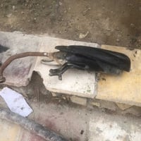 ماكس بلادي • بكلايت شغال • ناصريه مركز