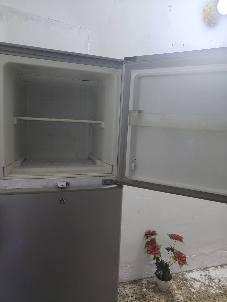 ثلاجه 19 قدم تجميدهه يخبل فوك وجوه تجمد سعر 150 وبيهه مجال مكاني لبياع شرطه رابعه ماعندي توصيل


**إذا كنت صاحب هذا الإعلان وتريد حذفه لأي سبب، رجاءا أرسل رسالة إلى الدعم الفني**