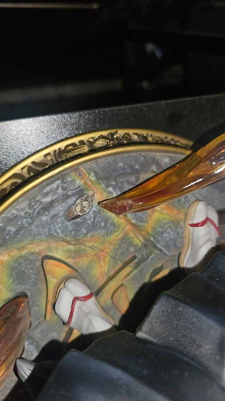 Gift Demon Slayer Tsugikuni Yoriichi Action Figure LED Light Statue

ريزن اصلي ريميد بدون ترقيم
188 قطعة بالعالم فقط
Scale :     1/6

Dimension :      W30 x H40 x D24 cm

Material :     PU/Resin + LED 

Weight :      7 KG

بيه ضرر تقدر تشوفها بالصورة الاخيرة


**إذا كنت صاحب هذا الإعلان وتريد حذفه لأي سبب، رجاءا أرسل رسالة إلى الدعم الفني**