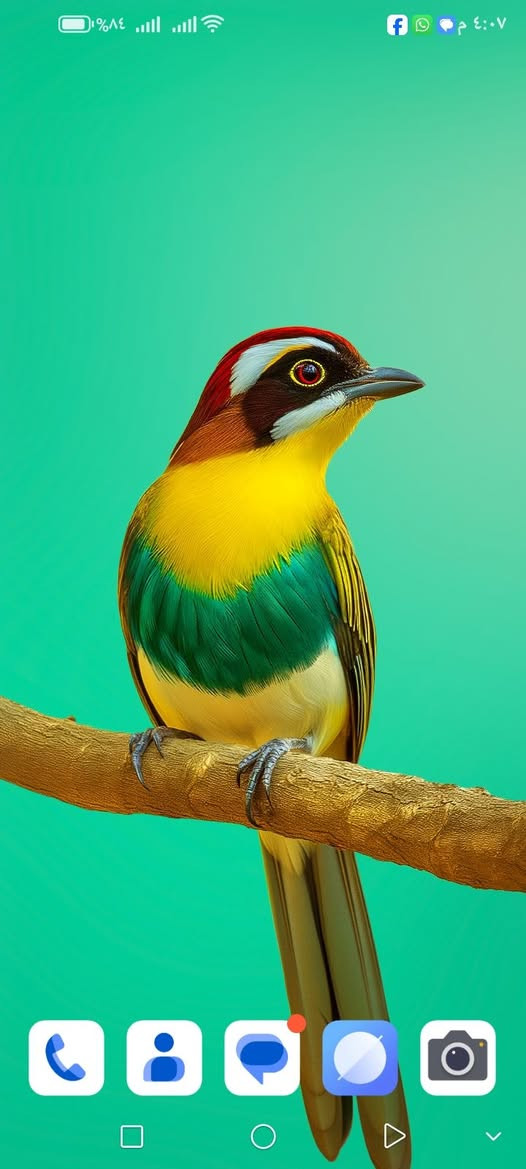 جهاز نظيف للبيع اومراس السعر 65. العنوان موصل الجديدة حي الرساله تعال الخاص ***********. او***********
