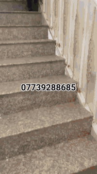 بيت للايجار • الدوره خلف الفرابي • ١٠٠م