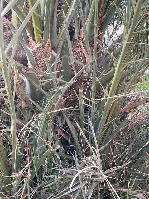 سلام عليكم عندي حوض كامل فسائل إبلك
أبيع شيله وحده مكاني فرع الوركاء


**إذا كنت صاحب هذا الإعلان وتريد حذفه لأي سبب، رجاءا أرسل رسالة إلى الدعم الفني**