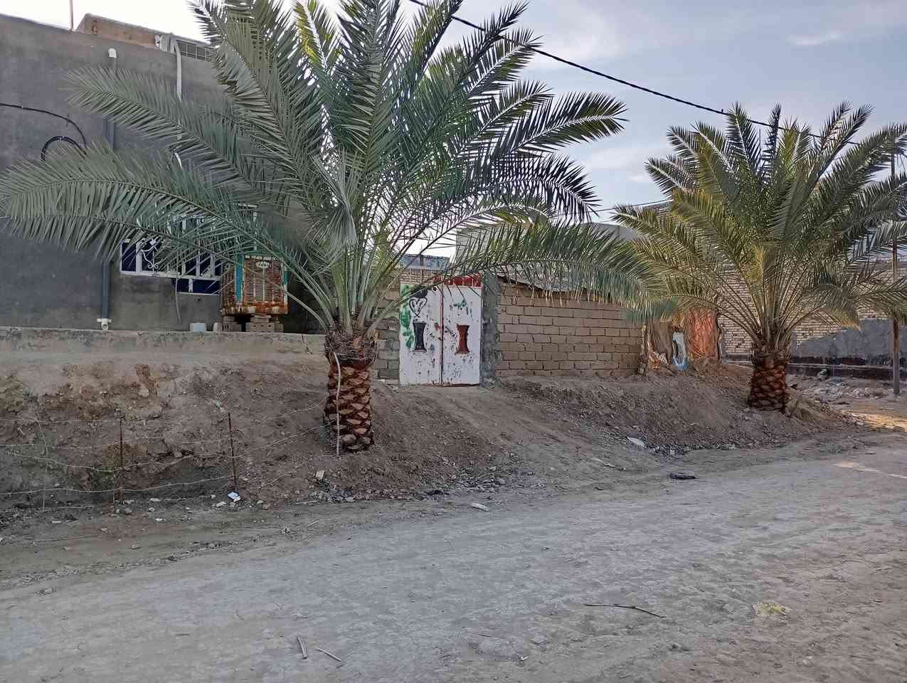 السلام عليكم بيت + عرصة للبيع طابو صرف المساحة الكلية 250 ركن يحتوي على ثلاث غرف وصالة واستقبال ومطبخ وصحيات حر مامسحوب عليه سلفة مداور ثاني يوم الحولي قرب سيد حيدر الياسري الاستفسار الاتصال  على الرقم ***********
