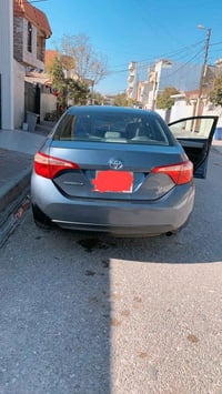 كورلا • ٢٠١٩ • رقم سليمانية