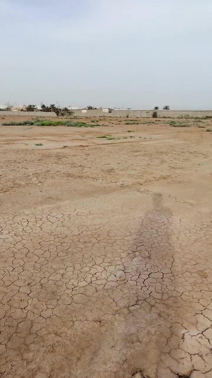 ٠


**إذا كنت صاحب هذا الإعلان وتريد حذفه لأي سبب، رجاءا أرسل رسالة إلى الدعم الفني**