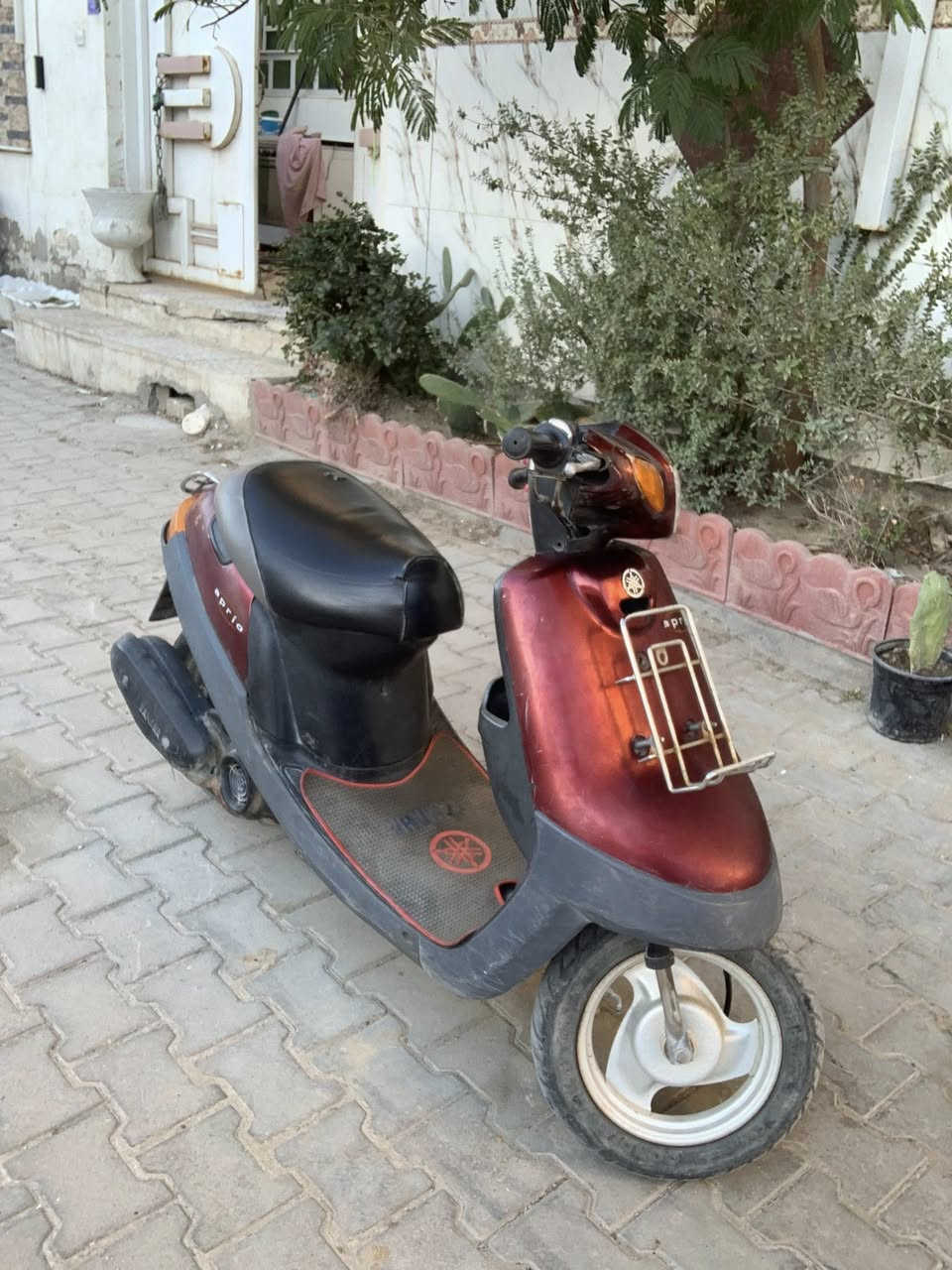 السلام عليكم بطة لون ماروني كفرات بلادية شرط الشلعة والمعدل كهربائيات كاملة لايت بك لايت اشاير بريكات امامي خلفي تاير خلفي جديد دبلات شغالات هندر واحد شرط كلشي مكفول بيها للبيع مكاني كربلاء حي المعلمين 
***********
