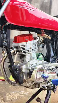 دراجة • معمرة • مشخاب