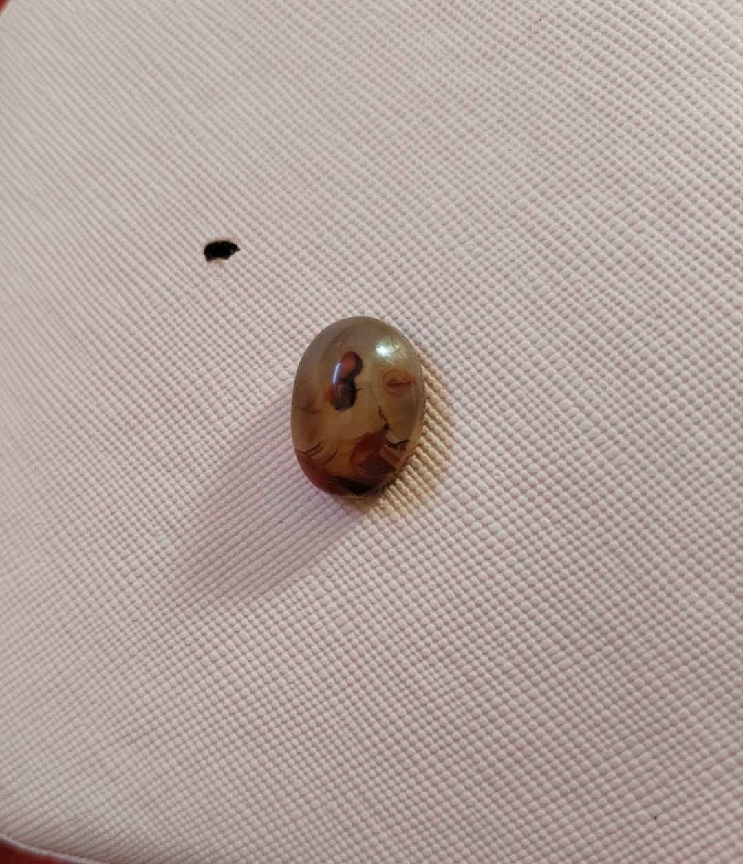 عقيق يماني مصور تفاصيل خاص


**إذا كنت صاحب هذا الإعلان وتريد حذفه لأي سبب، رجاءا أرسل رسالة إلى الدعم الفني**