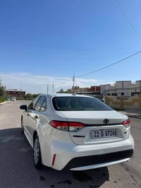 كورلا • ٢٠٢١ • اربيل