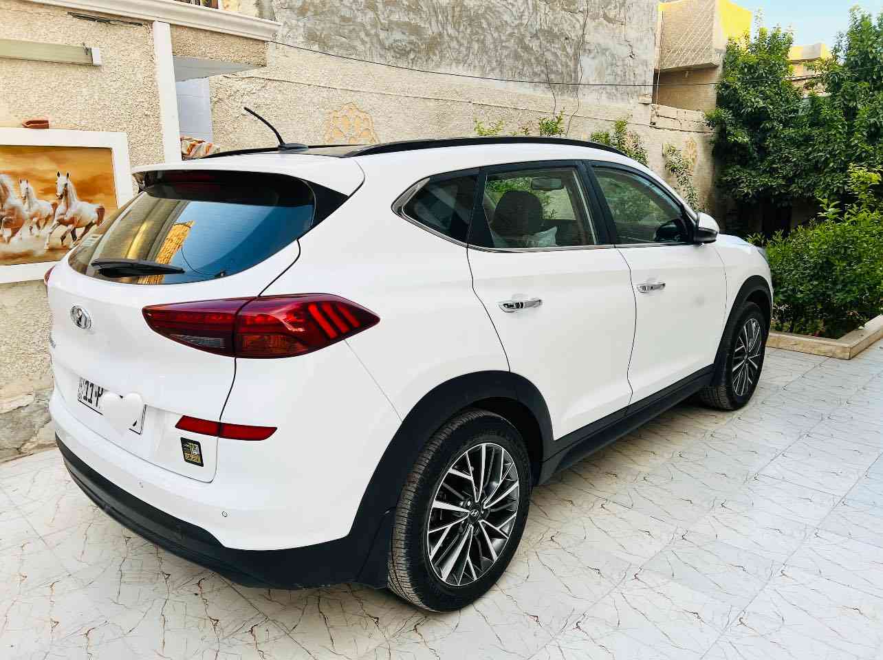 توسان ٢٠١٩ رقم بغداد ماشيه ٧٣ وكالة الگاصد بنرومه وبصمه  فول ١/١مكفوله كفاله عامه عده البنيد مبدل اصلي والقديم موجود واگعه عليه بلوكه يرادله بارد شبرين الشباك والدعاميه كله بلادي عله وضع الشركه سياره جديده بمعنى الكلمه السعر ١٩٢ وبيها مجال للاستفسار ***********
