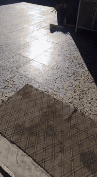 بداية ابو عصافير • ١١٠٠م • سند ٢٥