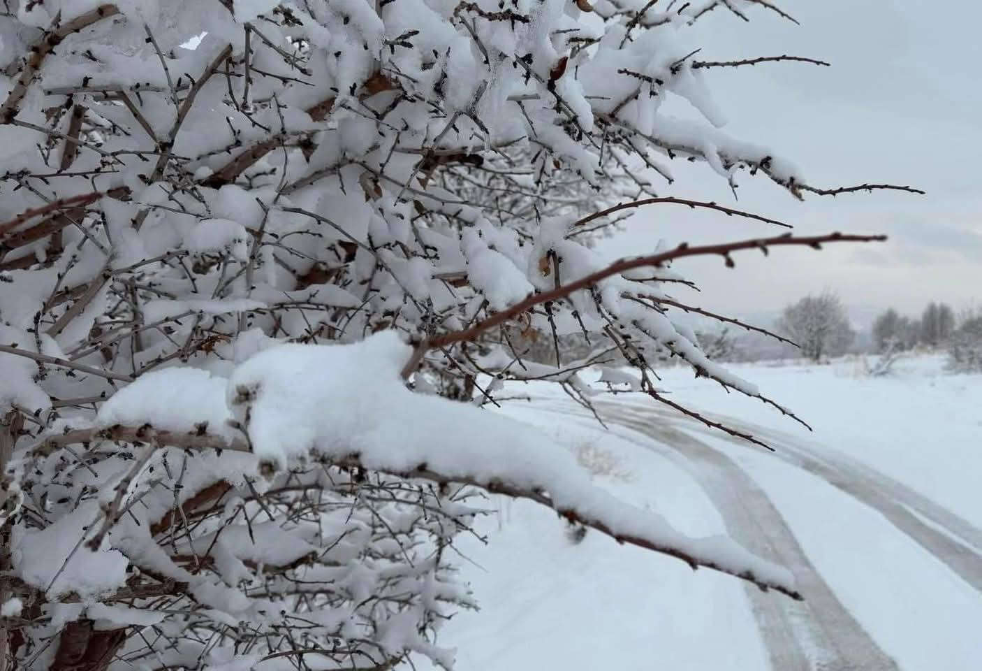 مساء الخير على اجمل متابعين وبيج شركة نور المصطفى للسياحه والسفر 😎👋

رجعنه وياكم من جديد 😍

برنامج يوم الجمعه حيكون دهوك جبل كارة الثلجي يوم واحد سعر مقعد (10) الاف

برنامج الرحله يشمل 👇😍

1. جبل كاره الثلجي 
2. سد دهوك 
3. استراحة مطعم 
4. مول دهوك 
5. مول اسطنبول 
6. حديقه الحيوانات 
7. فاملي مول 

وبعدها رجوع اليه الموصل الحبيبه 

ملاحضه الحجز مفتوح والمقاعد محدوده جدا 🤏

للحجز والاستفسار 
***********📞
***********📞

دع القياده لنا وستمتع بل رحله 🥰😎
