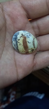 جراخه • للبيع • اليوم