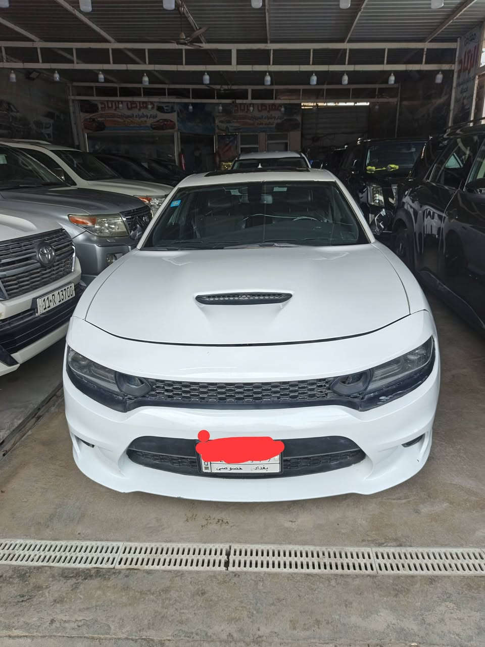 للبيع 2019 الاستفسار الرقم***********
