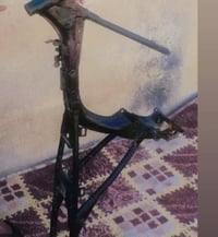 شاصي اصولي • محور بوريه • غراف