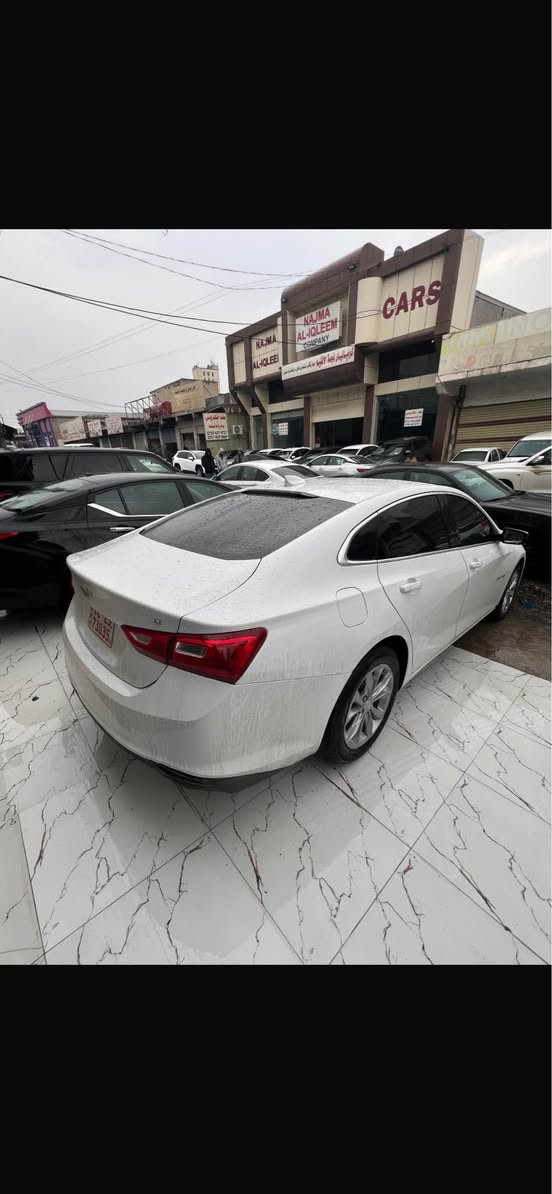 ماليبو 2023 وارد امريكي
موصفات LT معروف
بيهه نوص باب سبخ 
ارباك و دواخل. شه رت
كير و مكينه شه رت 65 ماشيه
سياره وضع شريكه 100‎%‎
كاتي يرقم شمال شرط رقم ابيع
سعر مناسب 127$ مجال بسيط
مكان زاخو واتساب *********** زاخو, دهوك
