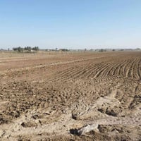 طريق يا حسين ٢٥٦ • ٨ دونم • عقد زراعي