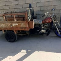 ستوته • مكينه خير • بدون أوراق