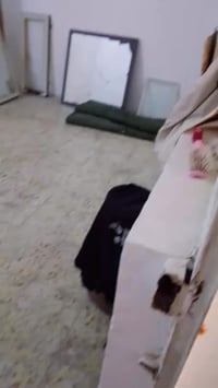 مكان البيت اعضمية  يكفي شخصين فقط  مكان البيت علا الشط  قرب المسنابة  ...