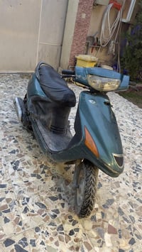 فراشة • بلادية • مختمة