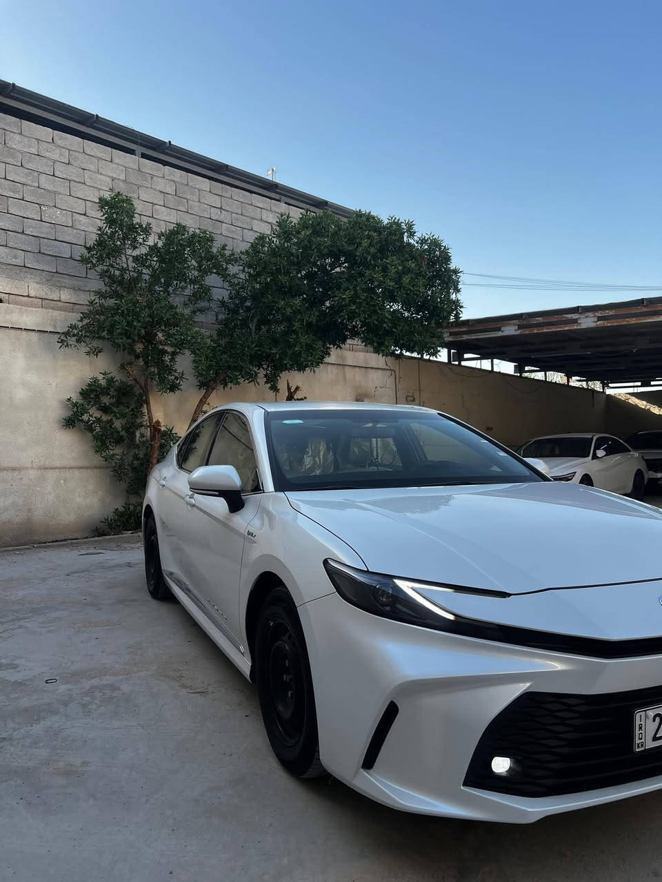 كامري هايبرد موديل 2025 زيرو من شركة ساس رقم اربيل مكاني البصرة رقم التليفون *********** سعر 265 ورقة بيه مجال شي بسيط
