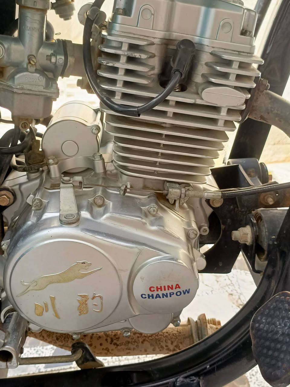 ستوته للبيع جديدة موديل ٢٠٢٣ طالعه ٢٠٢٥ مكانه كربلاء الحر والرقم ***********
