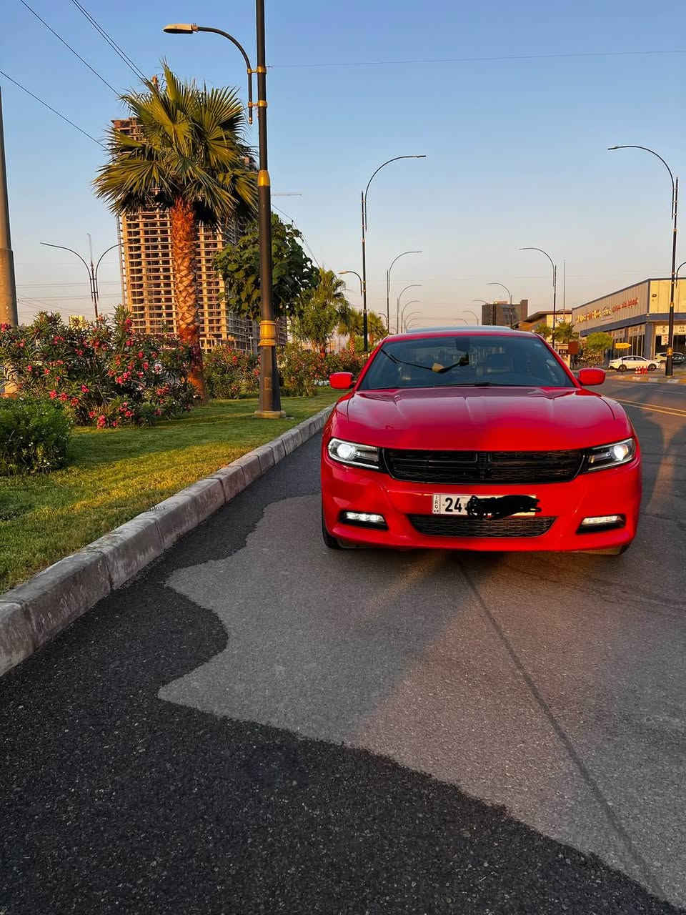 L دوج جارجر ٢٠٢٠ sxt plus
Clean title 
٩٥ ميل ماشية
فول موصفات
كشن هيتر و تبريد و جلد 
سلايد
تشغيل عن بعد
بلاجكتور زينون
بجم كبس  خلفي كبس 
بدون ايرباك بدون ضربة
صفحة نفر و بوند طلع بيها كلير امريكا
سعر : ٢١٥ و مجال
مكان: دهوك عميدي, دهوك


**إذا كنت صاحب هذا الإعلان وتريد حذفه لأي سبب، رجاءا أرسل رسالة إلى الدعم الفني**