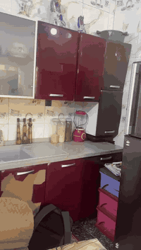 كاونتر إيطالي مستعمل للبيع   العنوان بغداد الحرية الدولعي   0770784657...