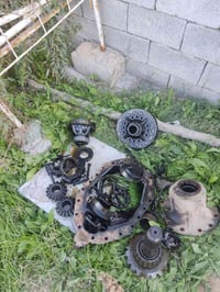 دشالي • اكسن • مان