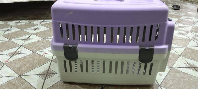 بيت قطه السعر ٧٠٠٠


**إذا كنت صاحب هذا الإعلان وتريد حذفه لأي سبب، رجاءا أرسل رسالة إلى الدعم الفني**