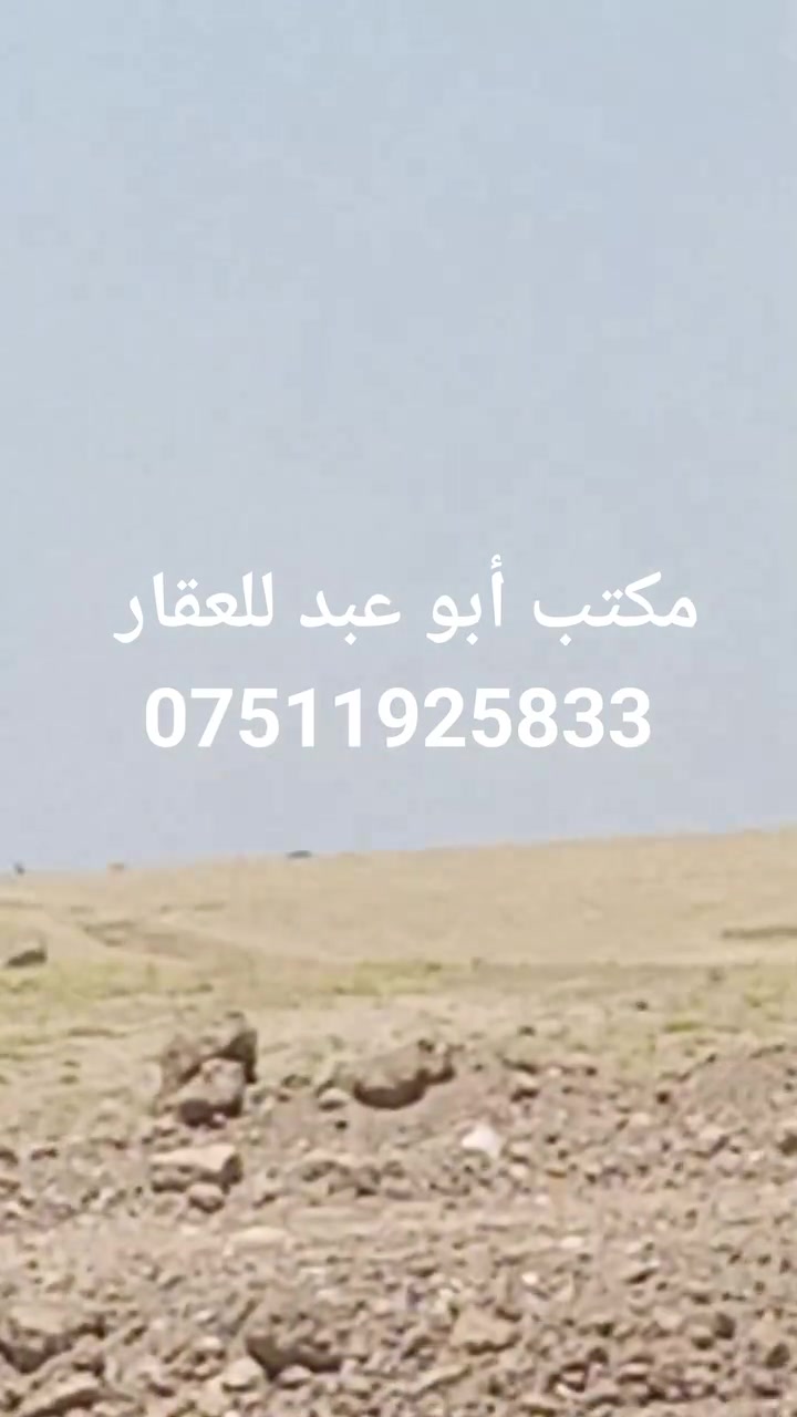 دوانم 
للبيع 
زراعي حق التصرف قرار 25 
 الجانب الأيمن منطقة العبور الثانية 
بعد السايدين الجديد خلف معامل الكاشي 

محطه كهرباء 
  البيع حسب الطلب 
من الشرعي 
الكهرباء والماء 
يبعد عن الأرض 500م
للاستفسار الاتصال على الرقم ***********
 أو مراسلتنا على الصفحة 
واتساب
