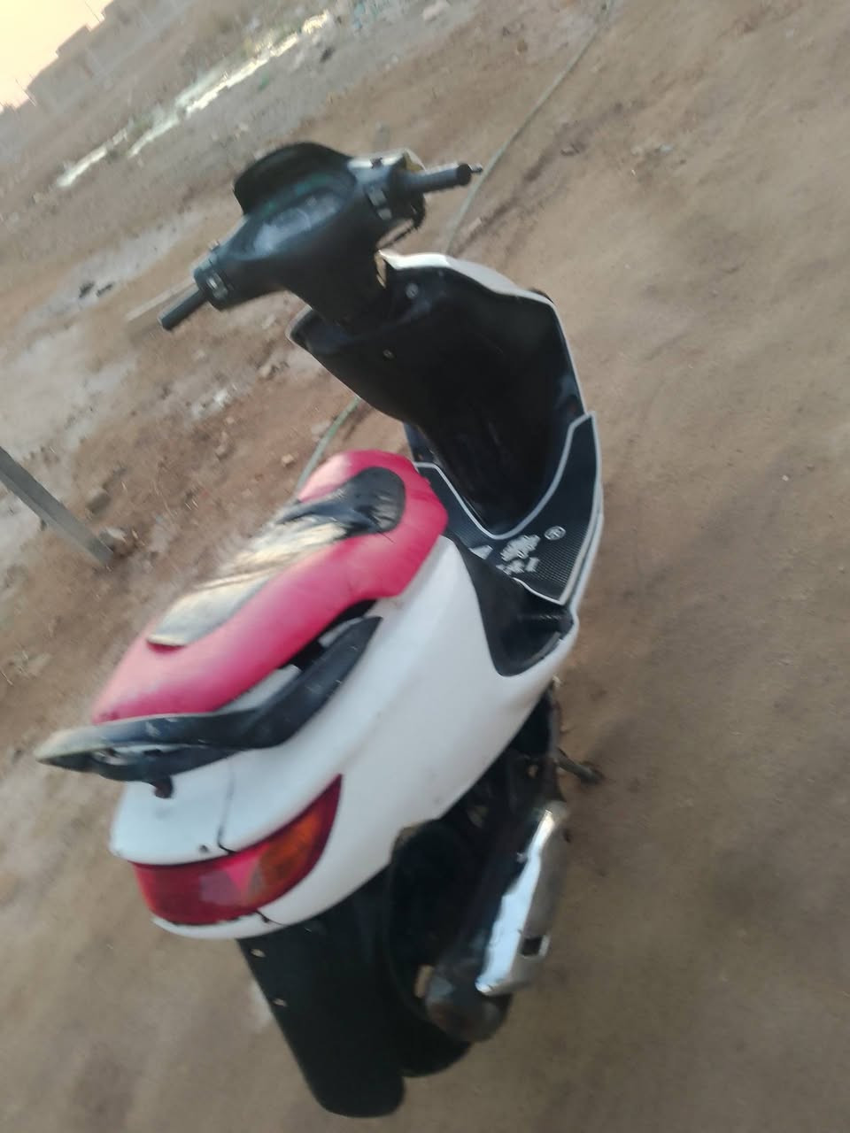 سلام عليكم شباب 
فحل للبيع مجفته وهس مستحقه تجفيت
تمشيك حته 5 أشهر ***********
