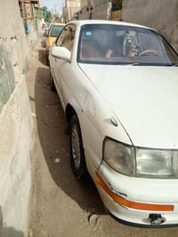 بطة • نقل جثة • كفالة